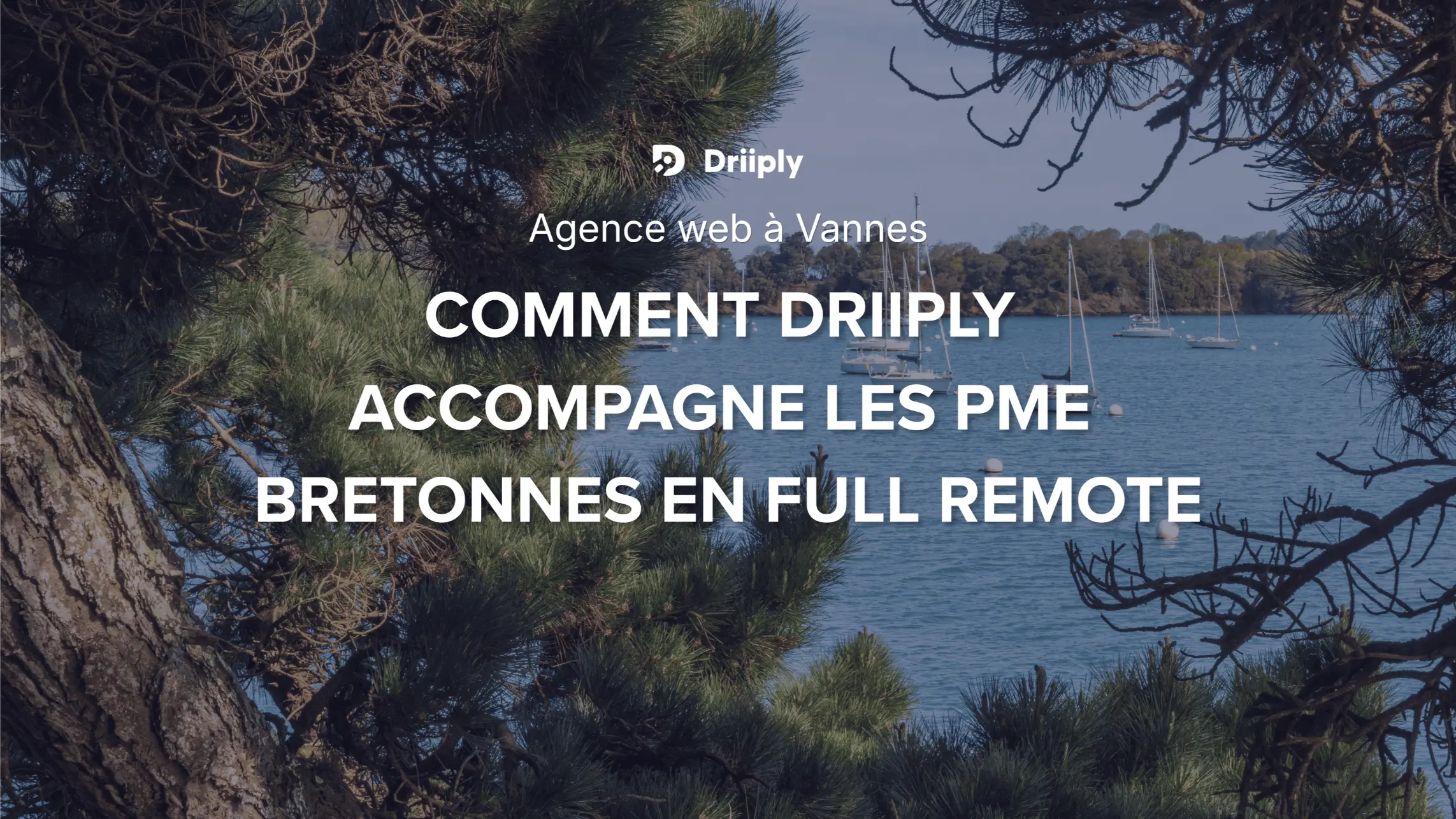 Agence web à Vannes : comment Driiply accompagne les PME bretonnes en full remote